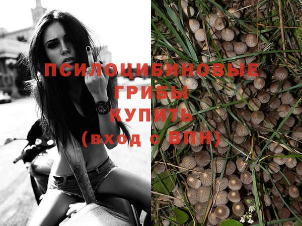 мескалин Алзамай
