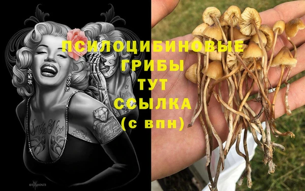 мескалин Алзамай