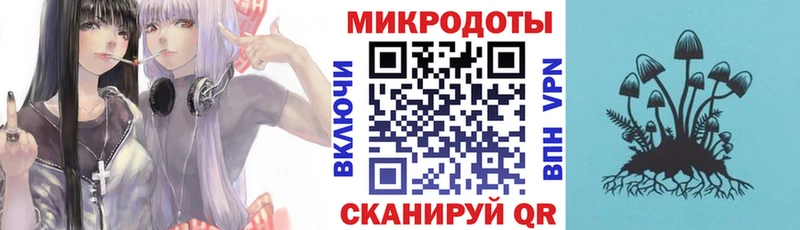 где можно купить   Ишим  Галлюциногенные грибы Psilocybe 
